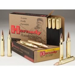 Hornady .243 100GR BT SP Ammunition